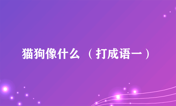 猫狗像什么 （打成语一）