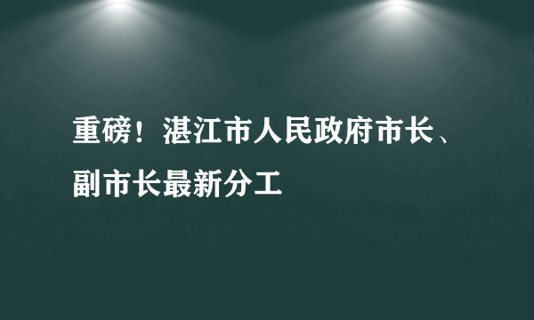 重磅！湛江市人民政府市长、副市长最新分工