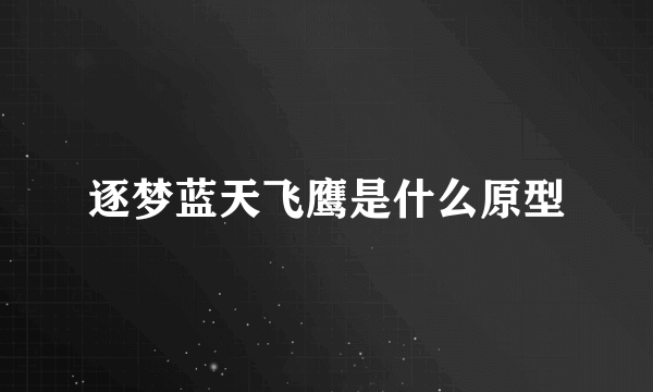 逐梦蓝天飞鹰是什么原型