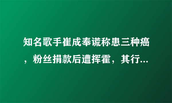 知名歌手崔成奉谎称患三种癌，粉丝捐款后遭挥霍，其行为在法律中如何定性？