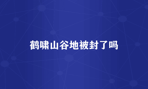 鹤啸山谷地被封了吗