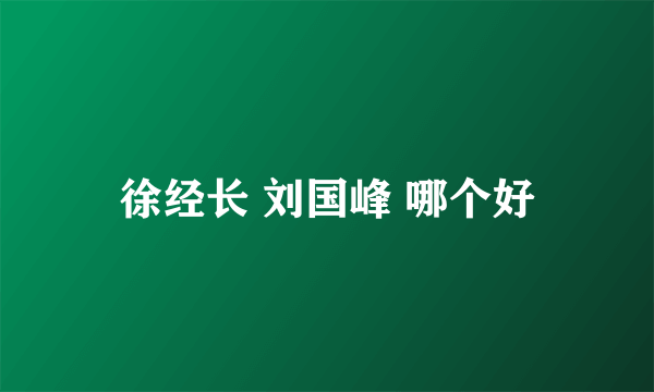 徐经长 刘国峰 哪个好
