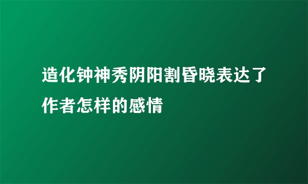 造化钟神秀阴阳割昏晓表达了作者怎样的感情