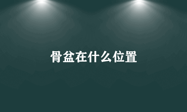 骨盆在什么位置