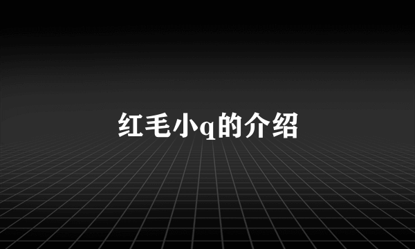 红毛小q的介绍