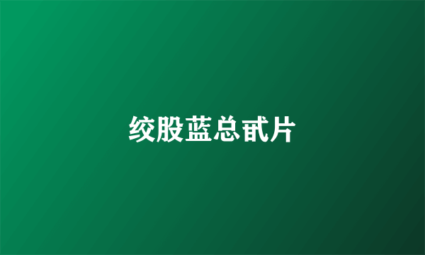 绞股蓝总甙片