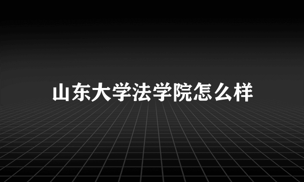 山东大学法学院怎么样