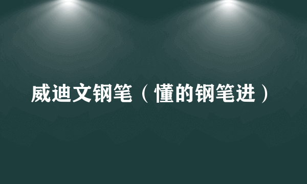 威迪文钢笔（懂的钢笔进）
