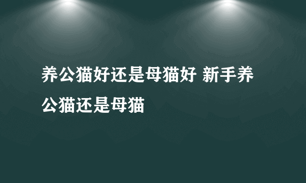 养公猫好还是母猫好 新手养公猫还是母猫