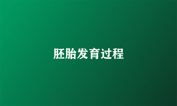 胚胎发育过程