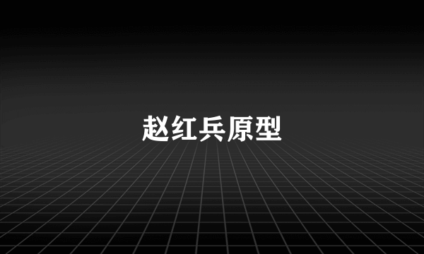 赵红兵原型
