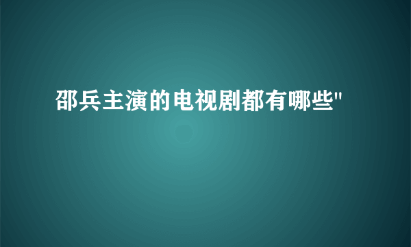 邵兵主演的电视剧都有哪些