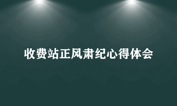 收费站正风肃纪心得体会