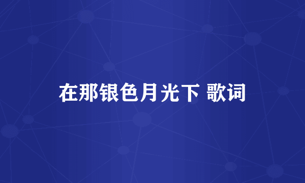 在那银色月光下 歌词
