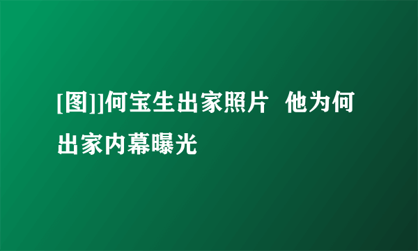 [图]]何宝生出家照片  他为何出家内幕曝光