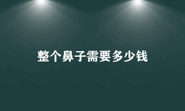 整个鼻子需要多少钱