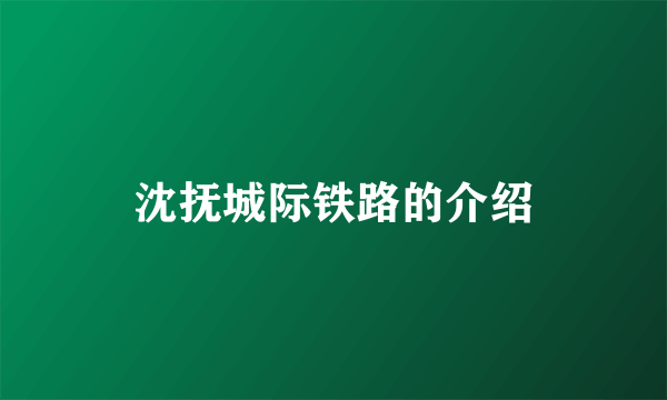 沈抚城际铁路的介绍