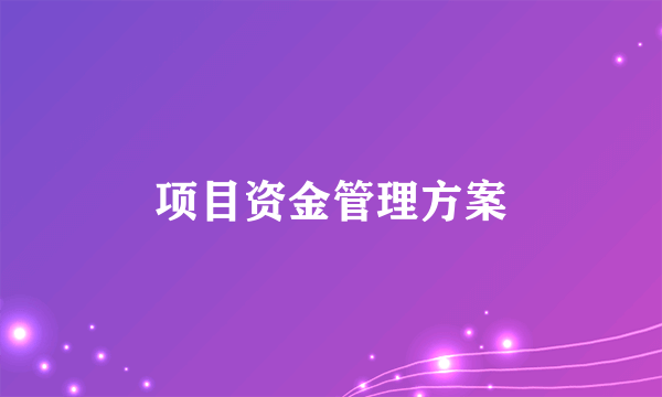 项目资金管理方案