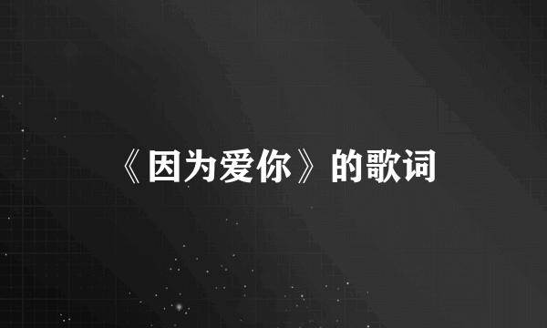 《因为爱你》的歌词