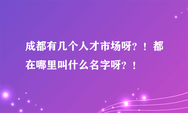 成都有几个人才市场呀？！都在哪里叫什么名字呀？！