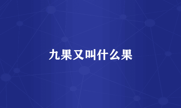 九果又叫什么果
