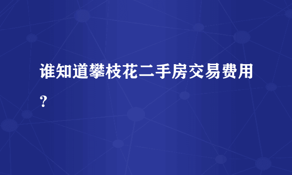 谁知道攀枝花二手房交易费用？