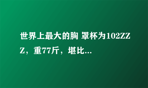 世界上最大的胸 罩杯为102ZZZ，重77斤，堪比两个大西瓜