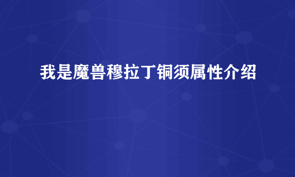 我是魔兽穆拉丁铜须属性介绍