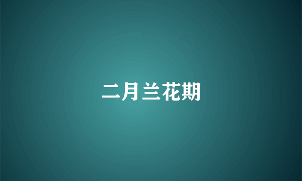 二月兰花期