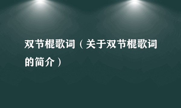 双节棍歌词（关于双节棍歌词的简介）