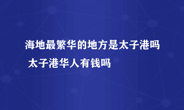 海地最繁华的地方是太子港吗 太子港华人有钱吗