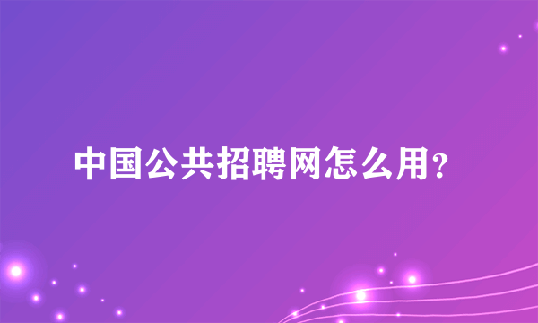 中国公共招聘网怎么用？