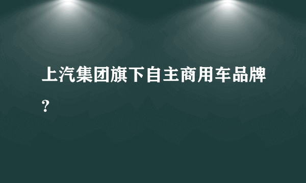 上汽集团旗下自主商用车品牌？