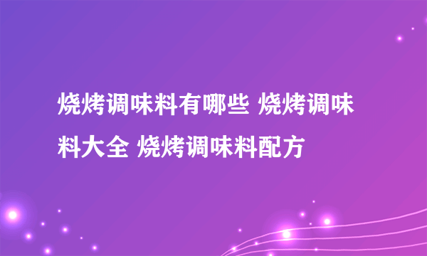 烧烤调味料有哪些 烧烤调味料大全 烧烤调味料配方