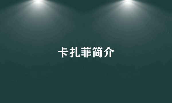 卡扎菲简介
