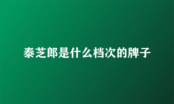 泰芝郎是什么档次的牌子