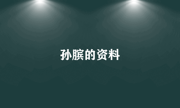 孙膑的资料