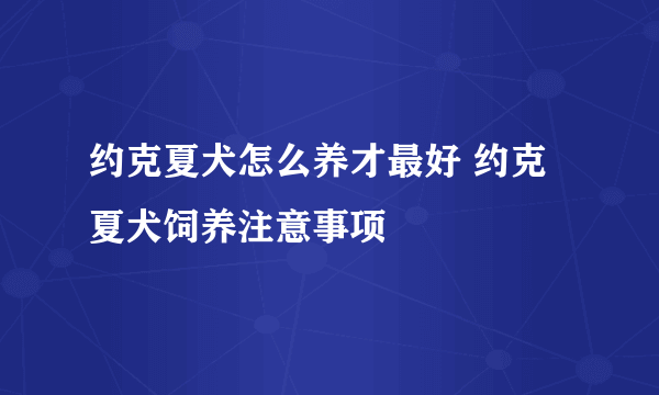 约克夏犬怎么养才最好 约克夏犬饲养注意事项