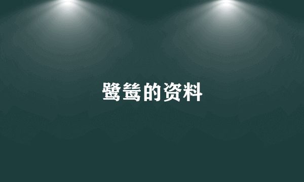 鹭鸶的资料