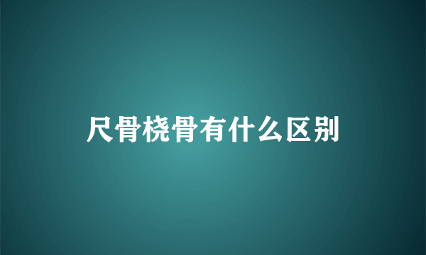 尺骨桡骨有什么区别
