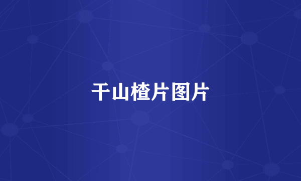 干山楂片图片