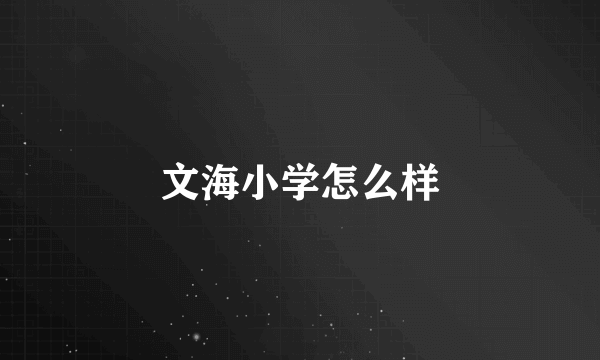 文海小学怎么样