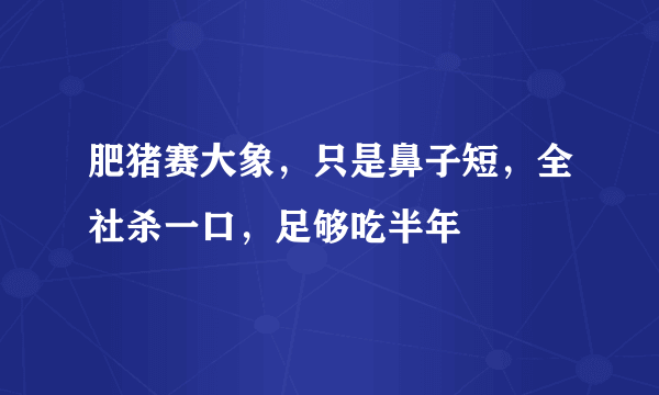 肥猪赛大象，只是鼻子短，全社杀一口，足够吃半年