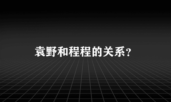 袁野和程程的关系？