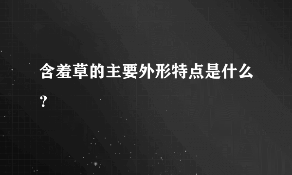 含羞草的主要外形特点是什么？