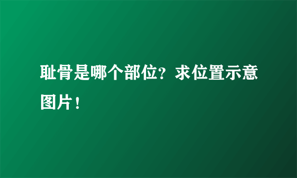 耻骨是哪个部位？求位置示意图片！
