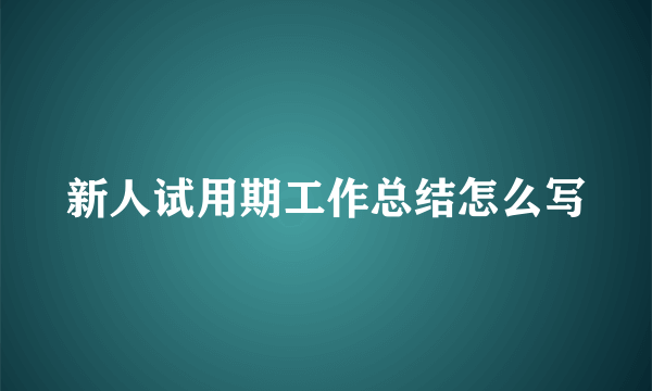 新人试用期工作总结怎么写