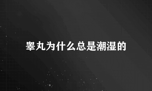 睾丸为什么总是潮湿的