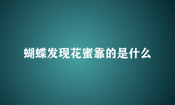 蝴蝶发现花蜜靠的是什么