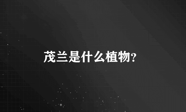 茂兰是什么植物？